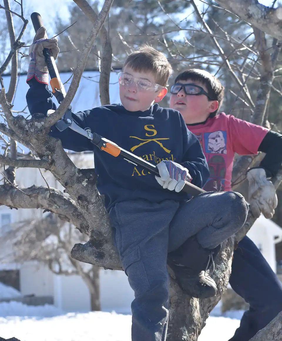 Two boys on trimming tree
