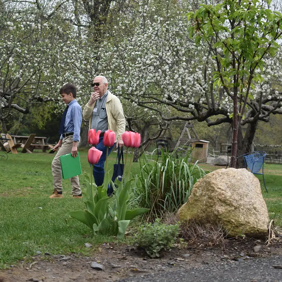 Importance of family, Sparhawk grounds